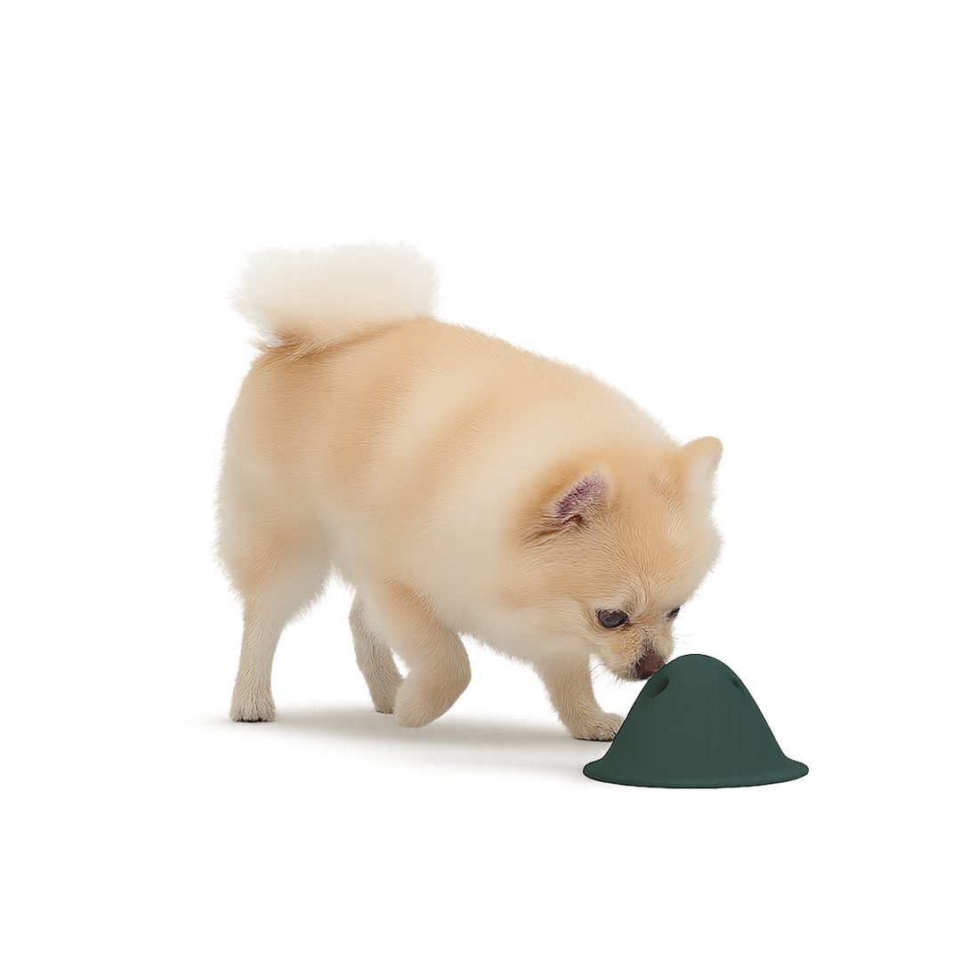 🎁 טום - משחק פעילות אינטראקטיבי (100% off)