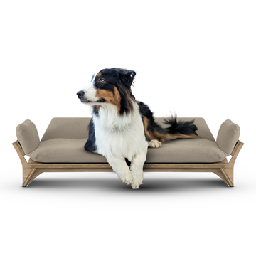 איימי - ספה לכלב