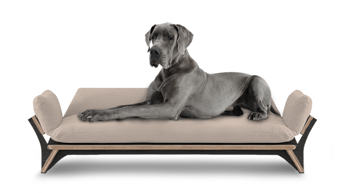 איימי - ספה לכלב