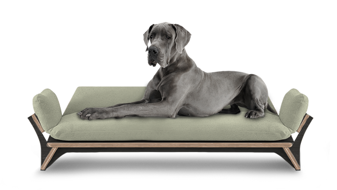 איימי - ספה לכלב