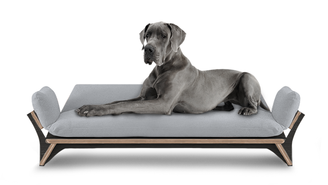 איימי - ספה לכלב