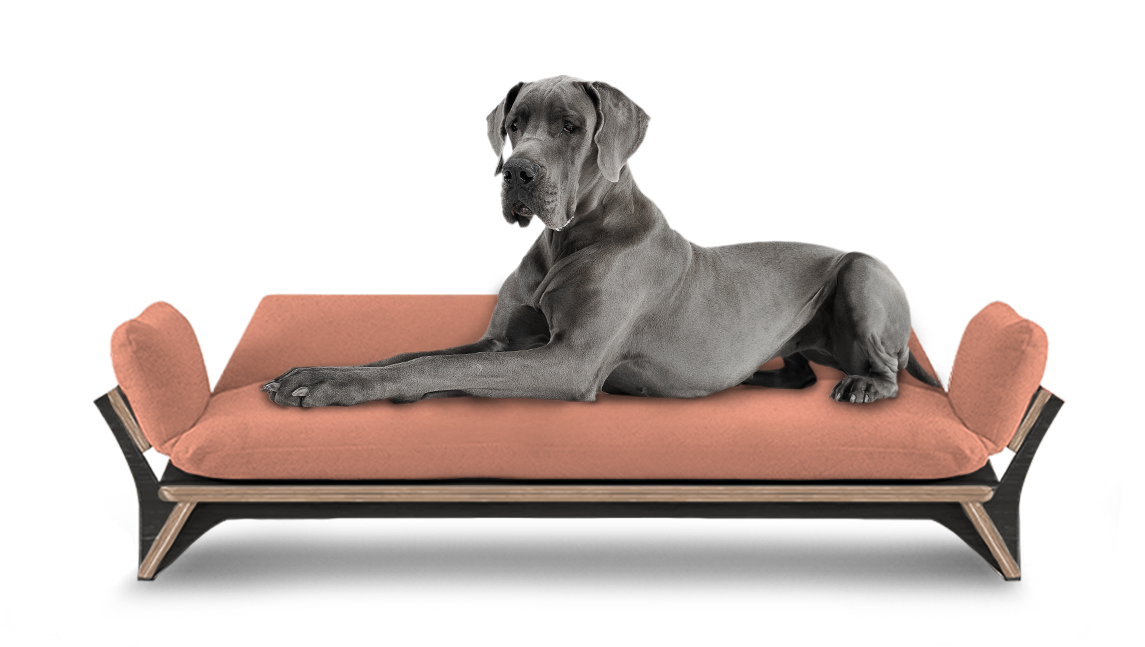 איימי - ספה לכלב