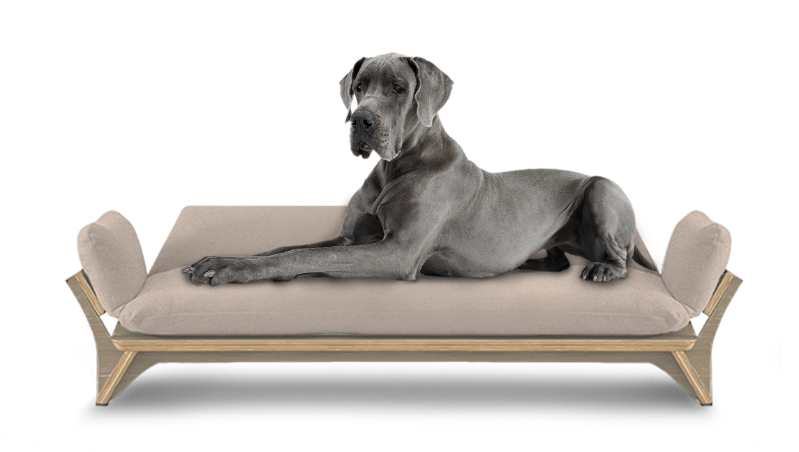 איימי - ספה לכלב