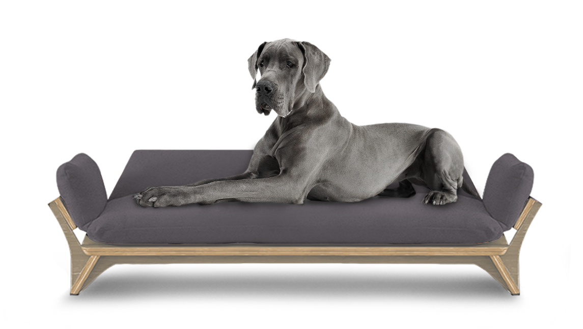 איימי - ספה לכלב