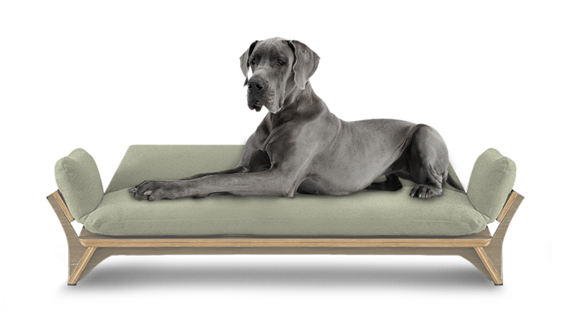 איימי - ספה לכלב