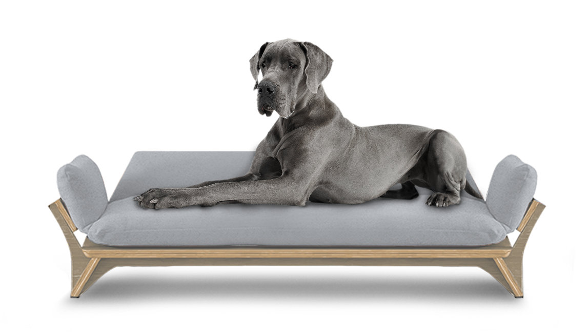 איימי - ספה לכלב