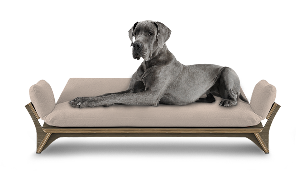 איימי - ספה לכלב