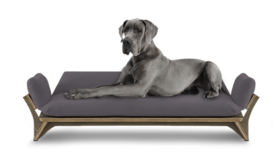 איימי - ספה לכלב