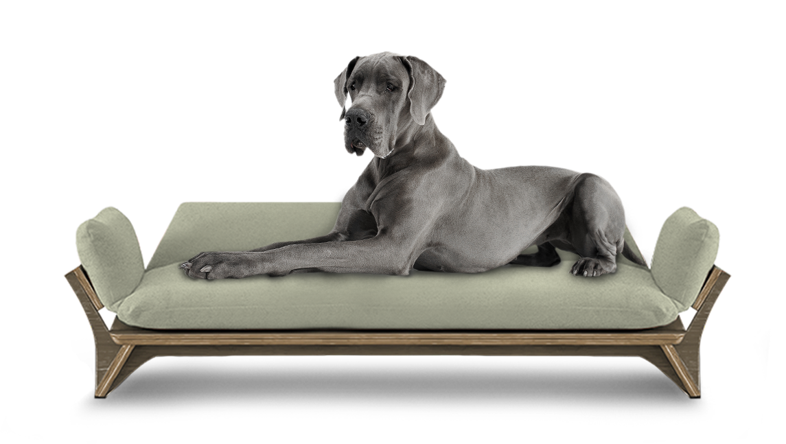 איימי - ספה לכלב