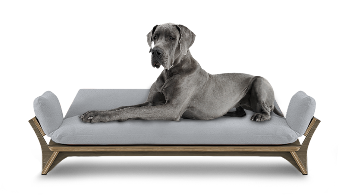 איימי - ספה לכלב