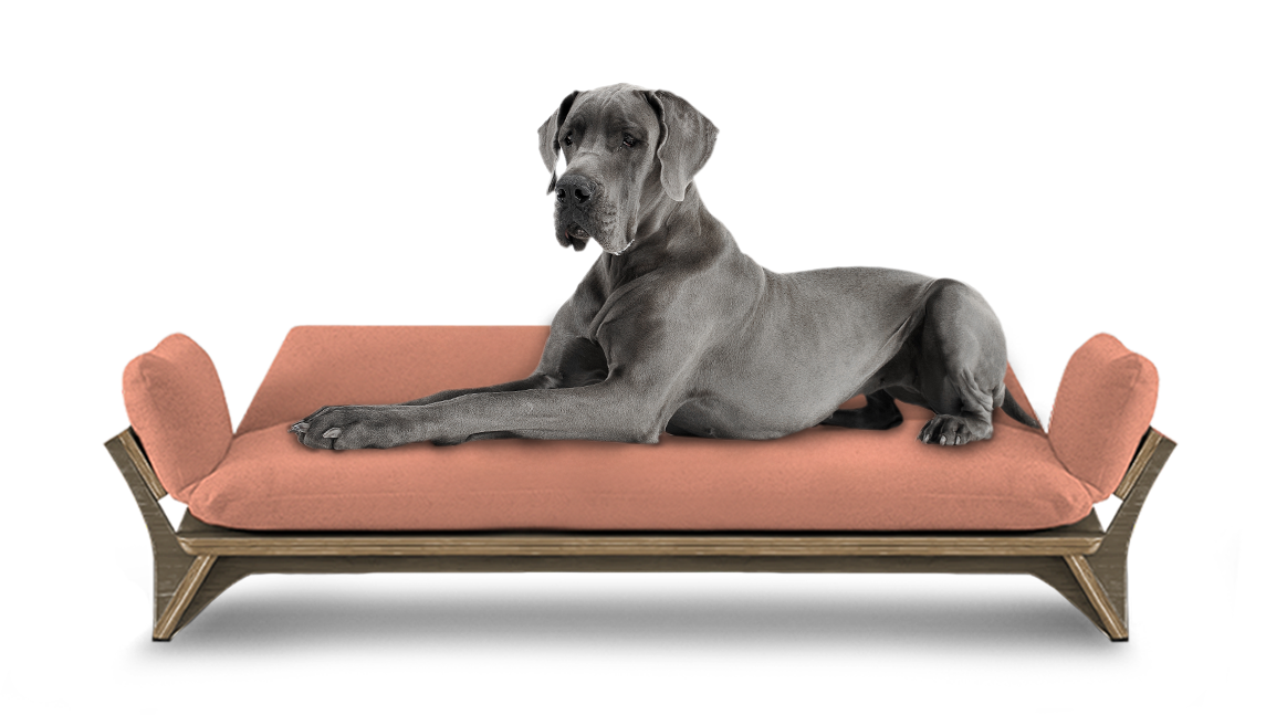 איימי - ספה לכלב