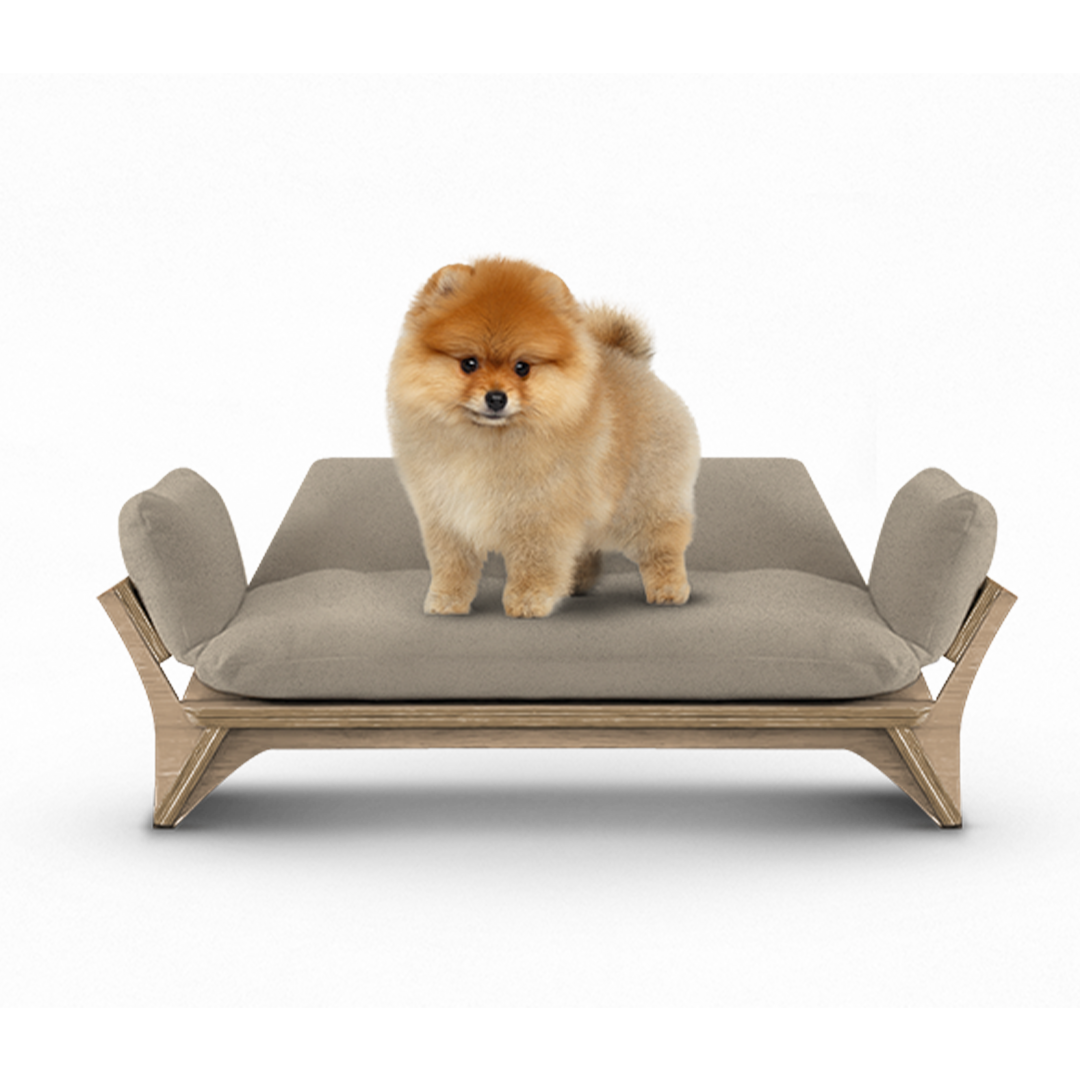 איימי - ספה לכלב