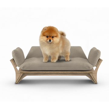 איימי - ספה לכלב