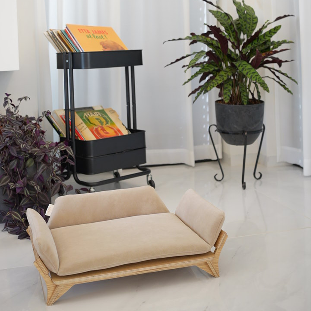 איימי - ספה לכלב