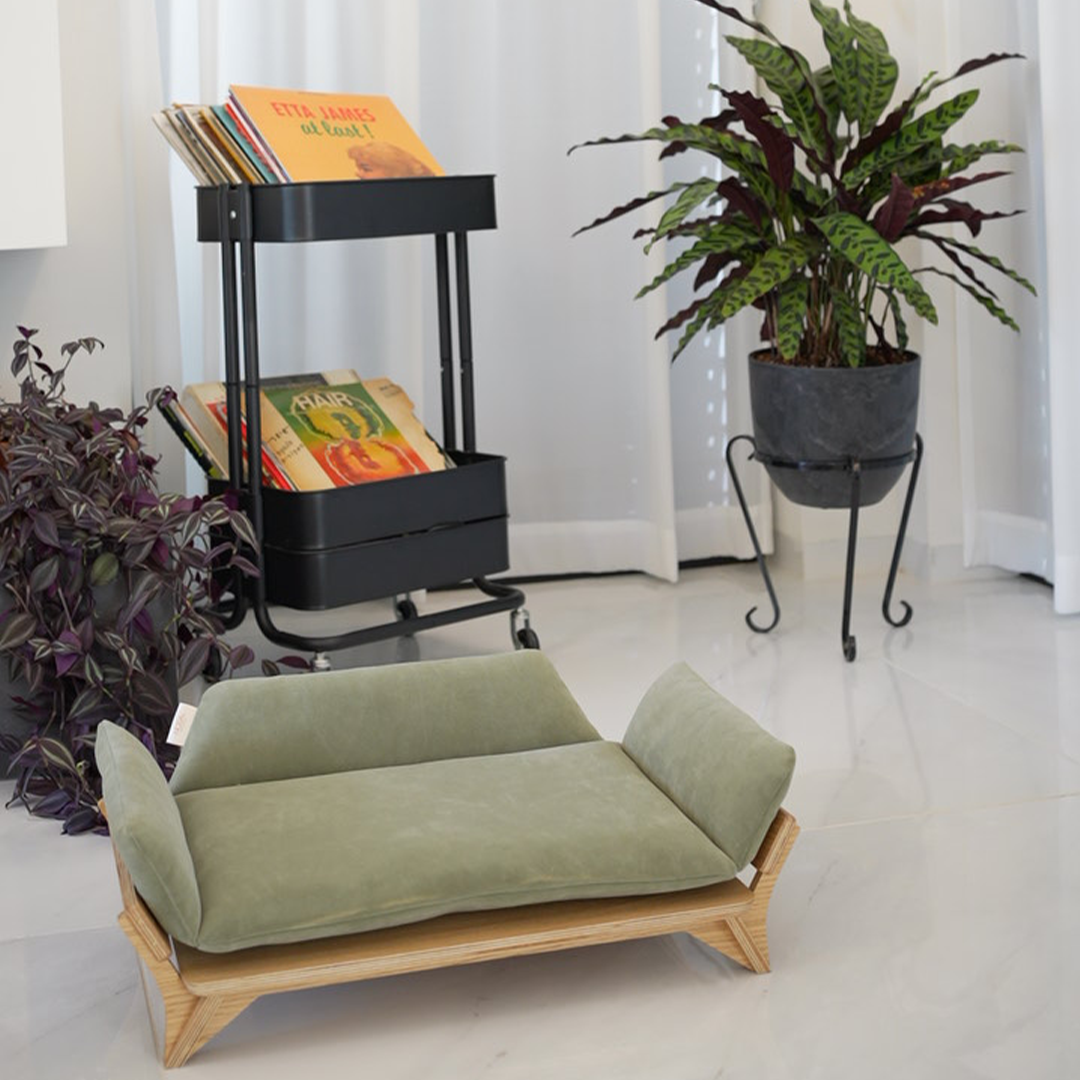 איימי - ספה לכלב