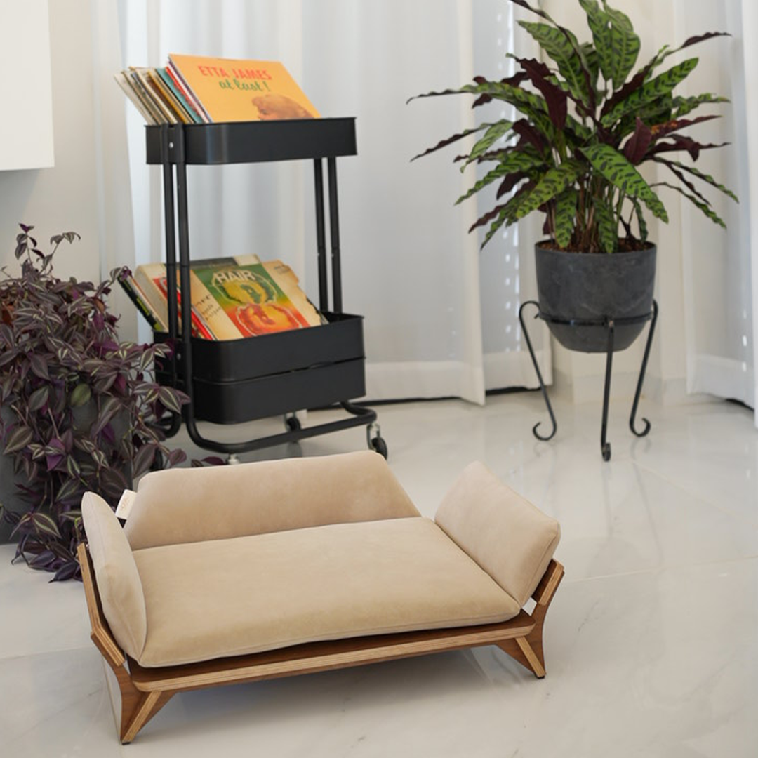 איימי - ספה לכלב