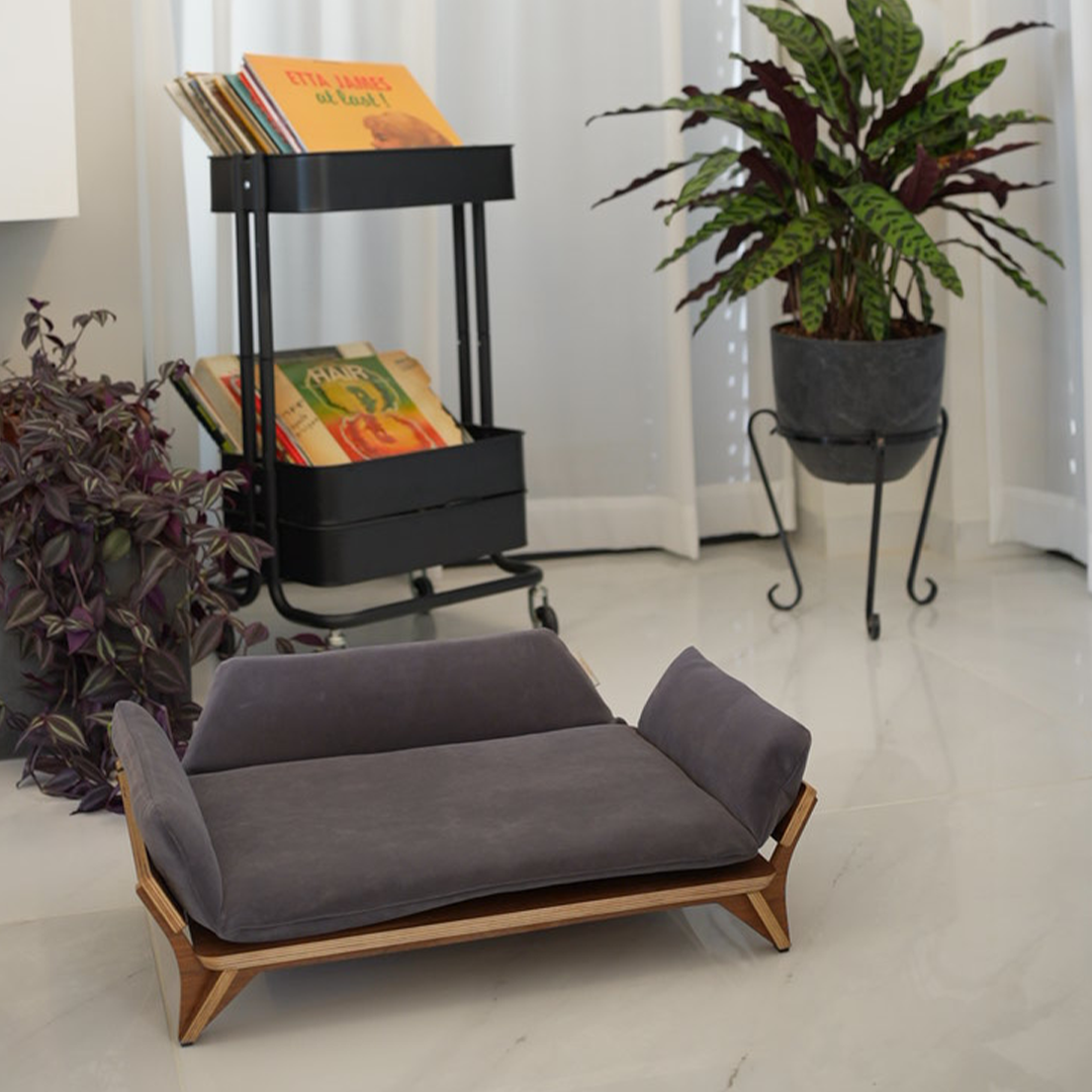 איימי - ספה לכלב