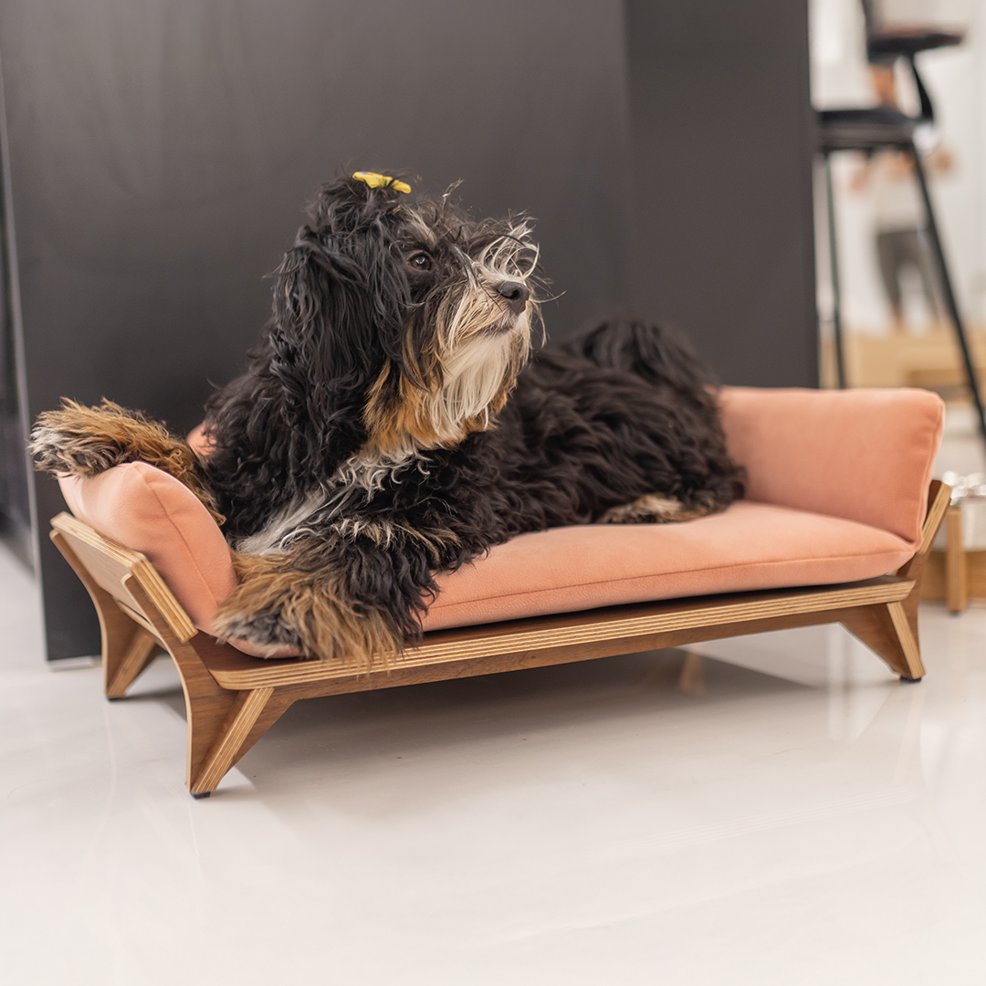 איימי - ספה לכלב