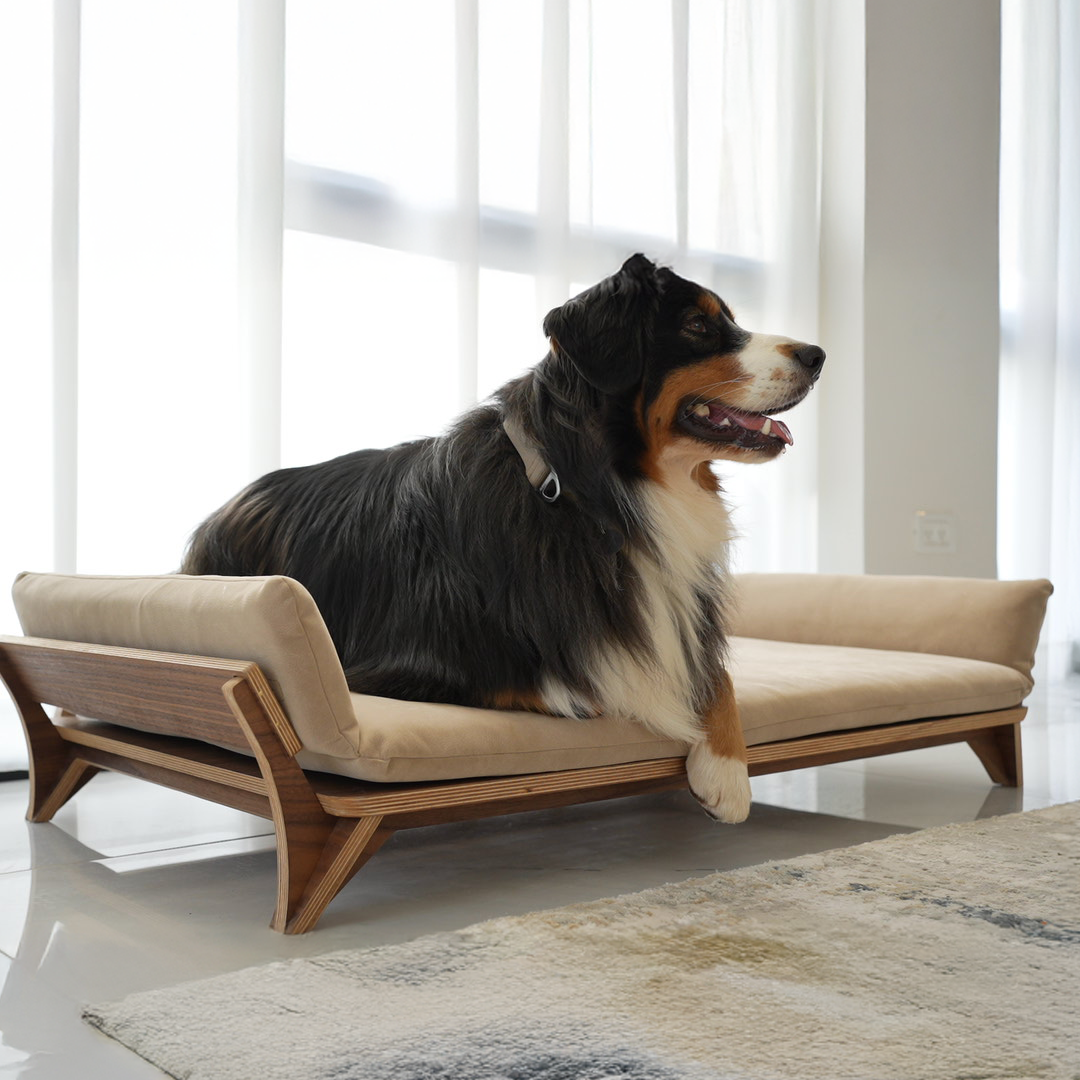 איימי - ספה לכלב