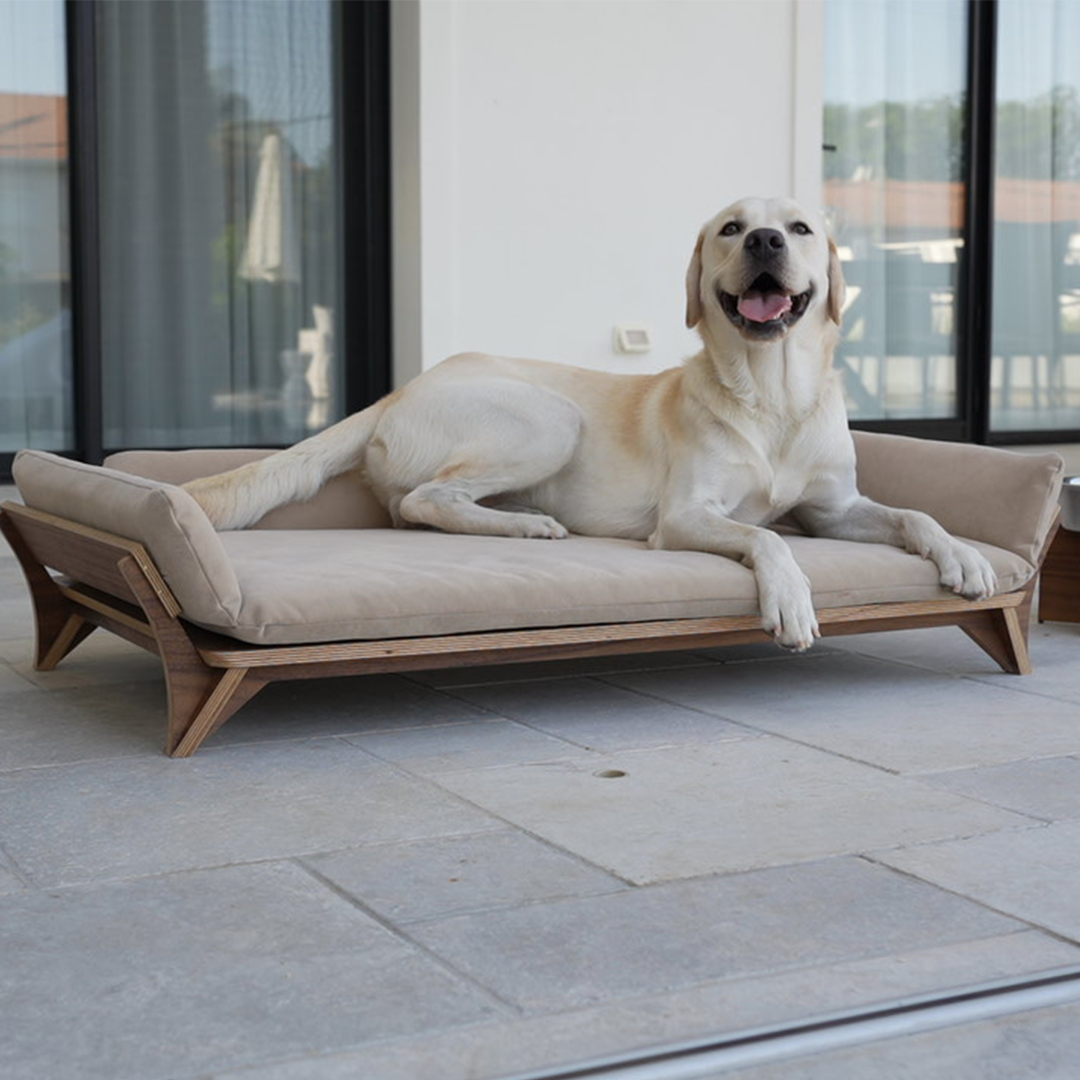 איימי - ספה לכלב