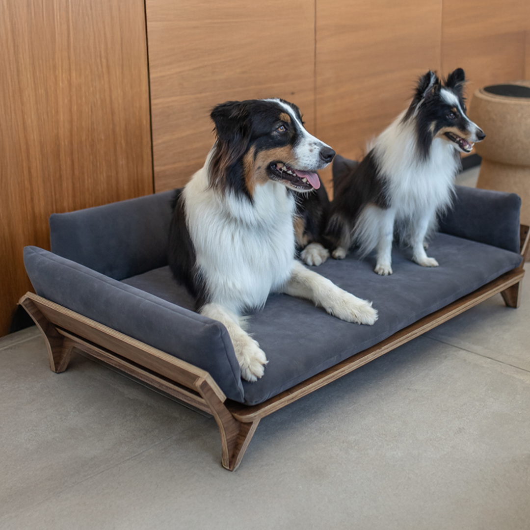 איימי - ספה לכלב