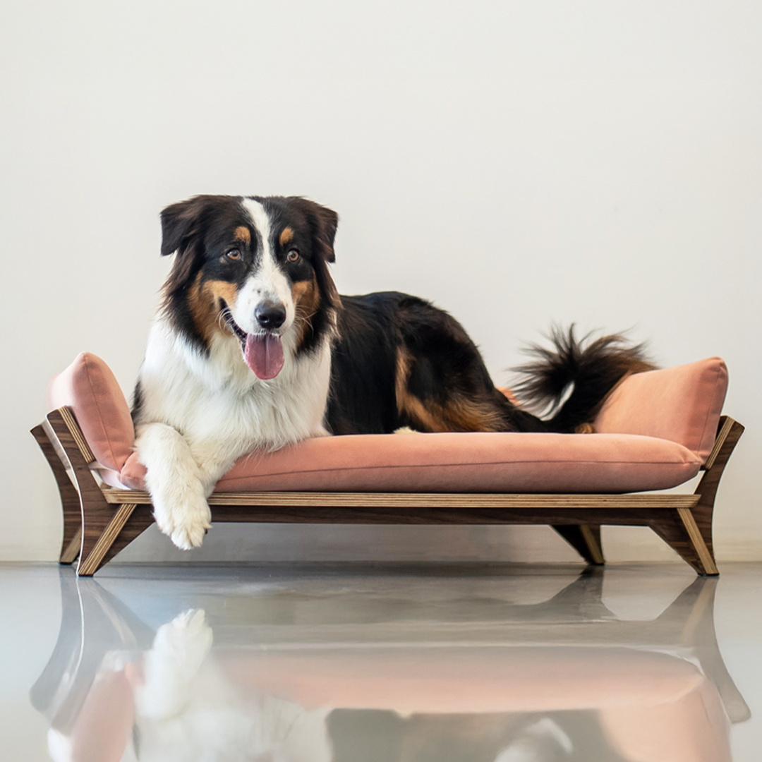 איימי - ספה לכלב