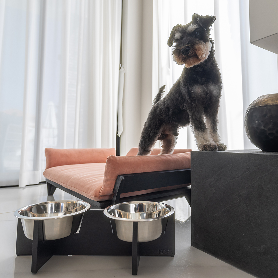 איימי - ספה לכלב