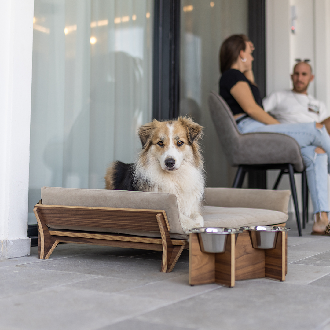 איימי - ספה לכלב
