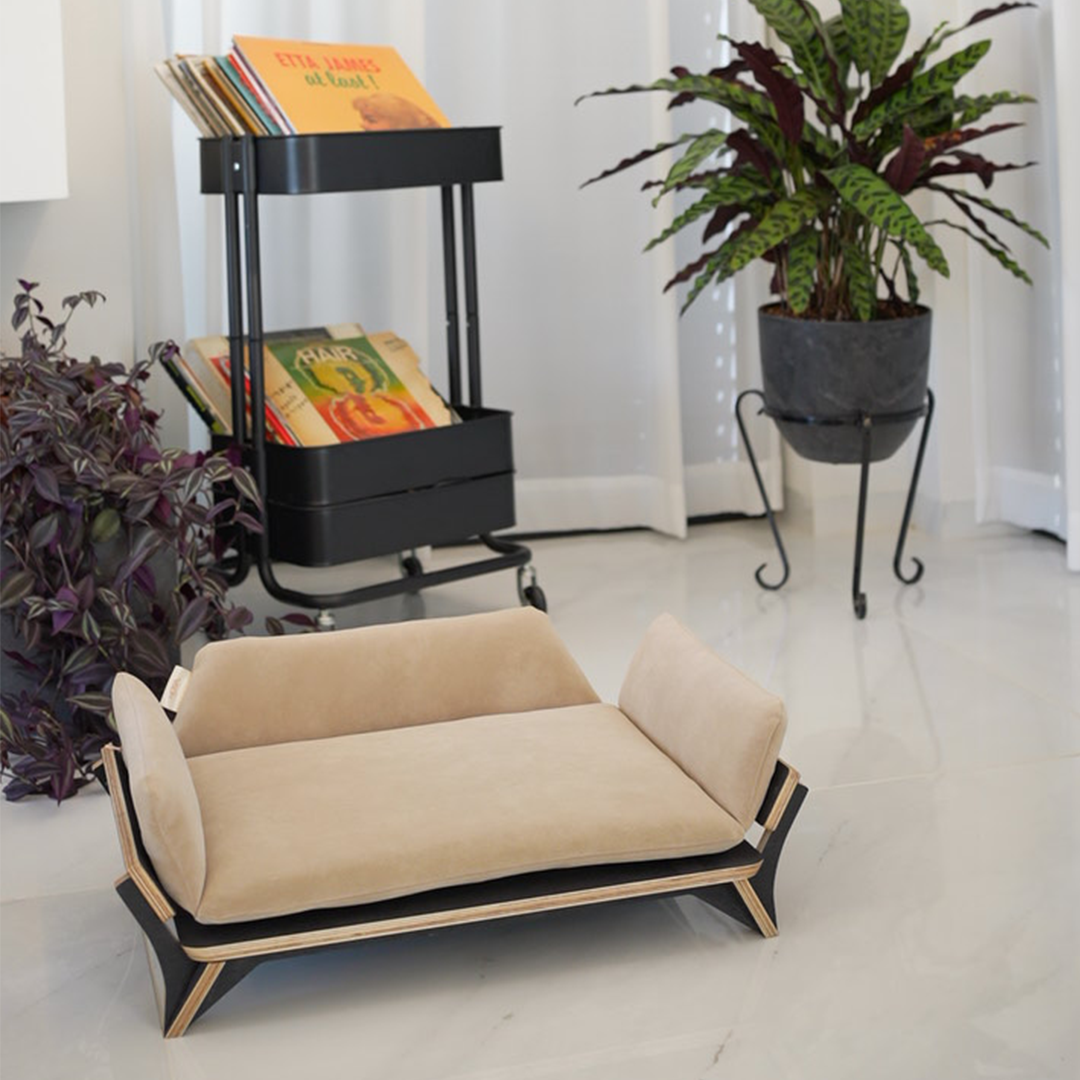 איימי - ספה לכלב