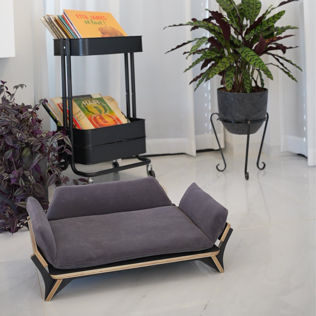 איימי - ספה לכלב