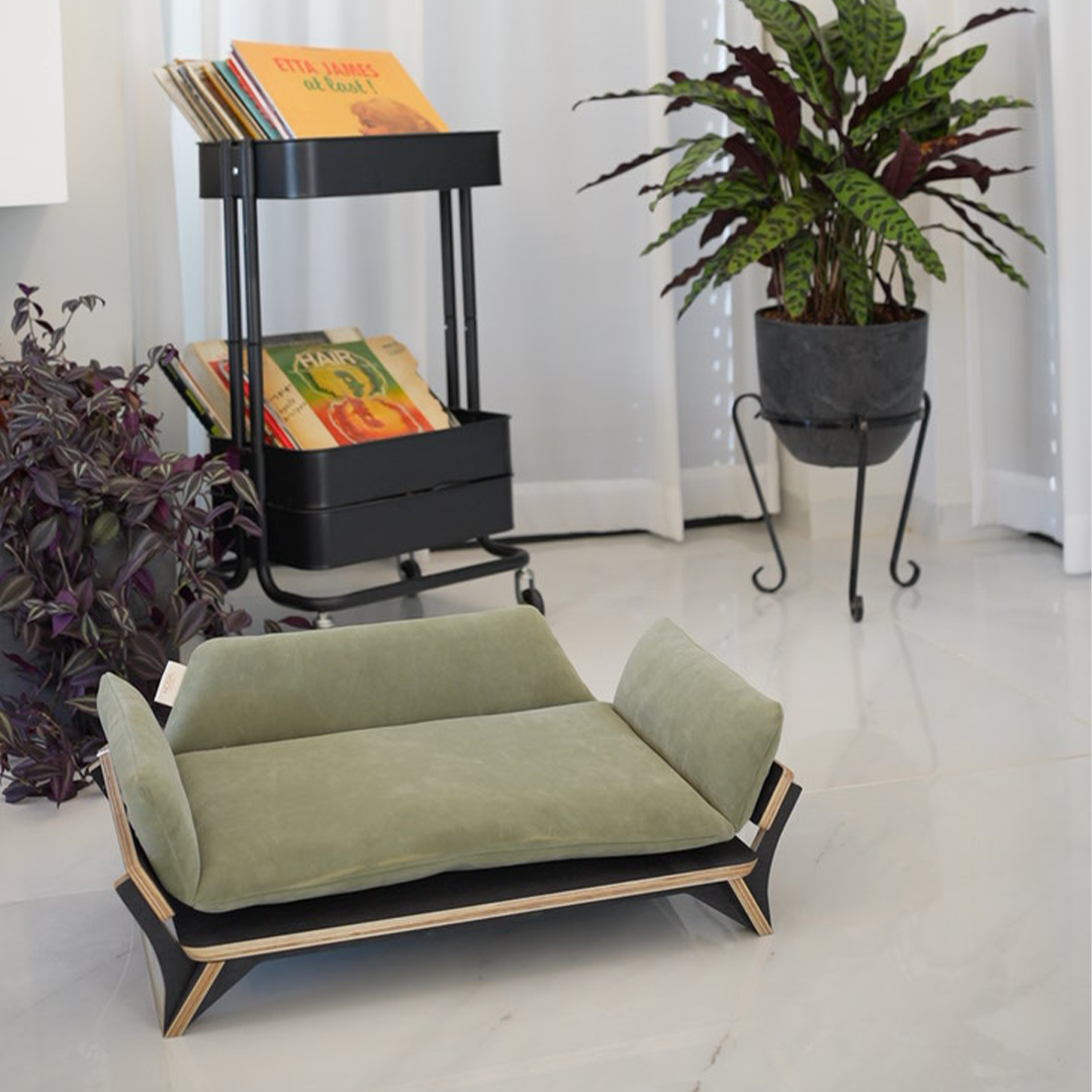 איימי - ספה לכלב