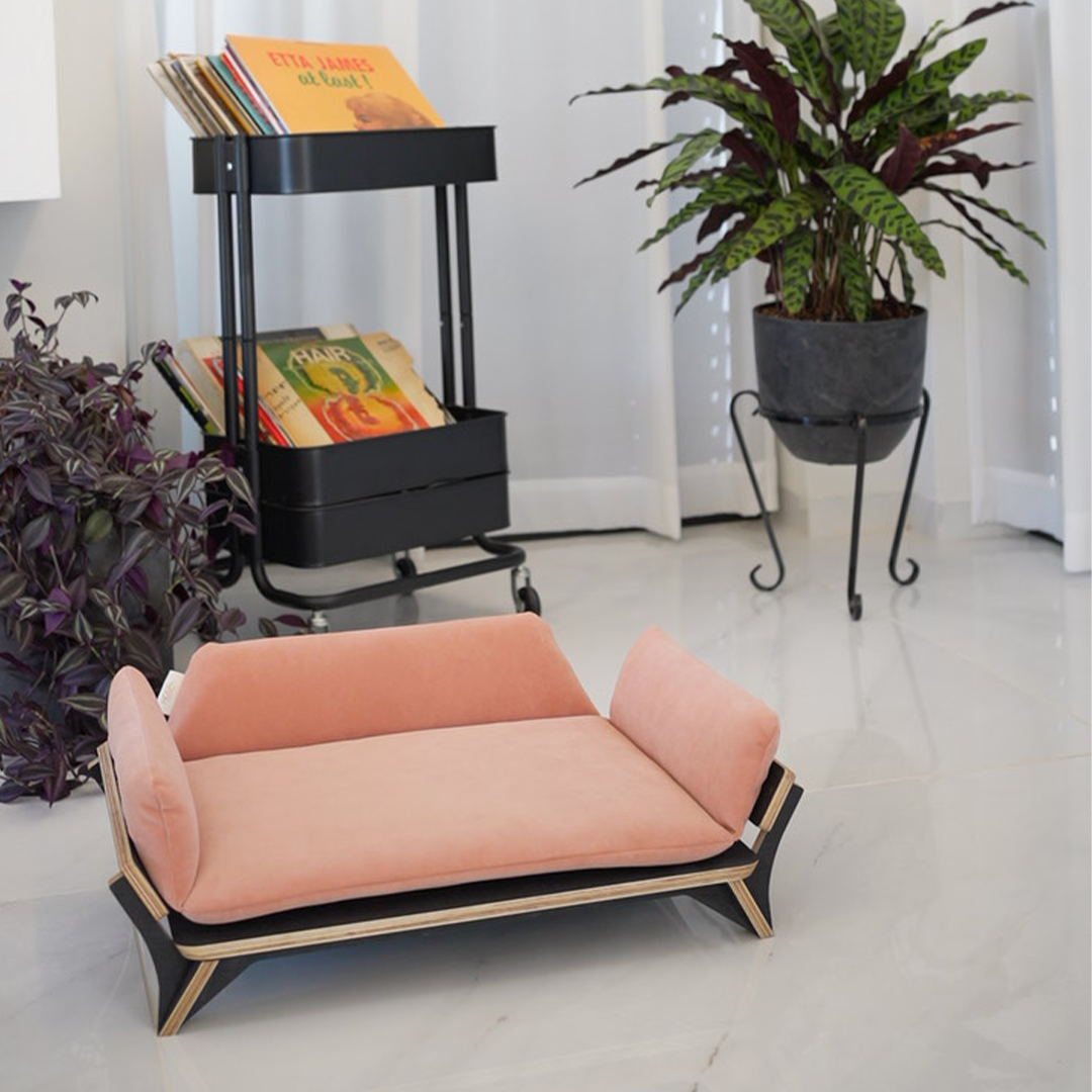 איימי - ספה לכלב