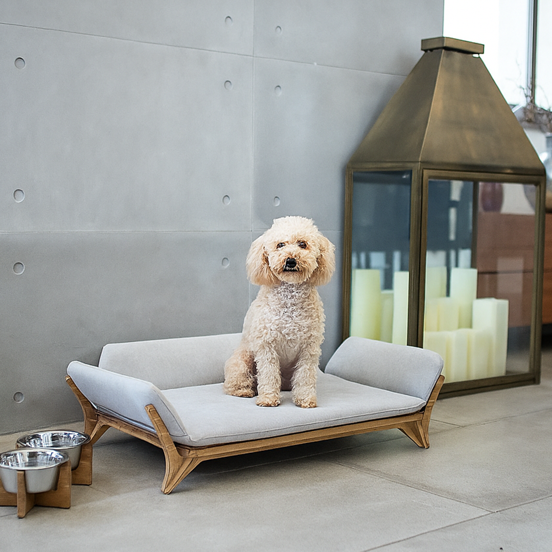 איימי - ספה לכלב