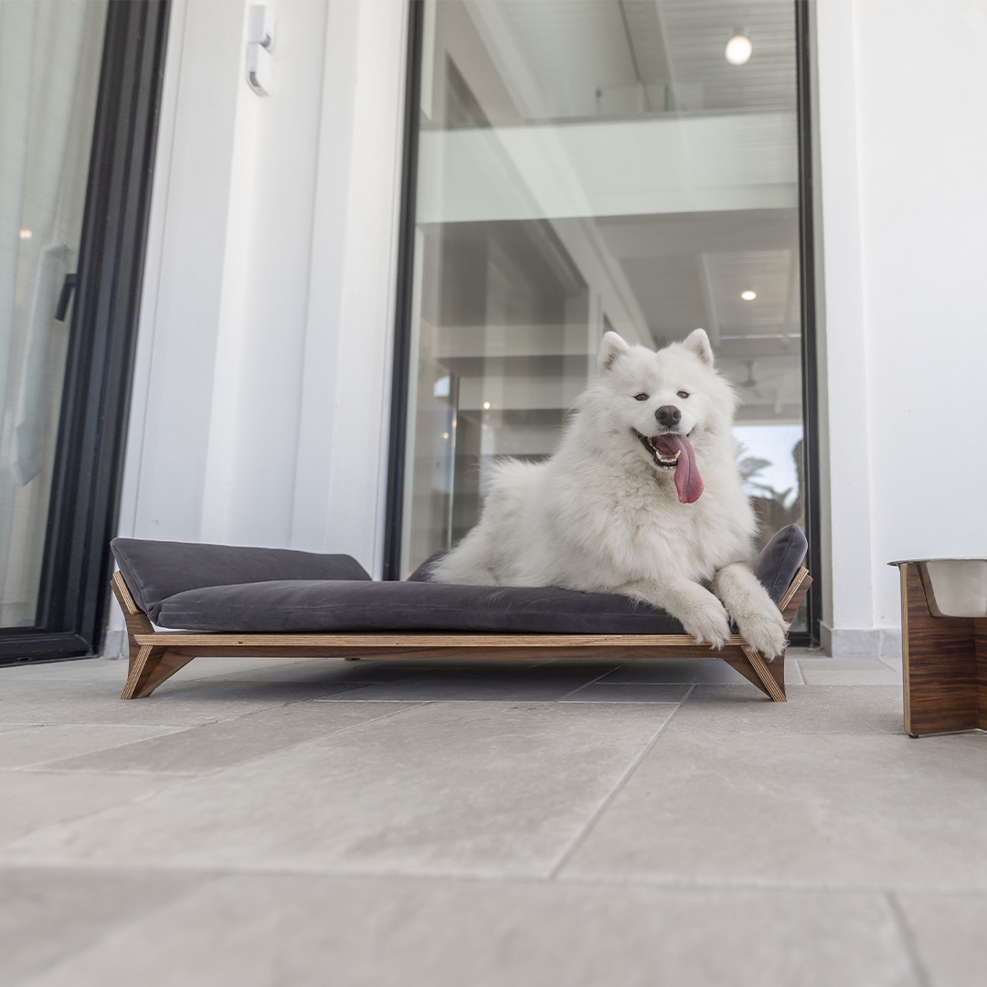 איימי - ספה לכלב