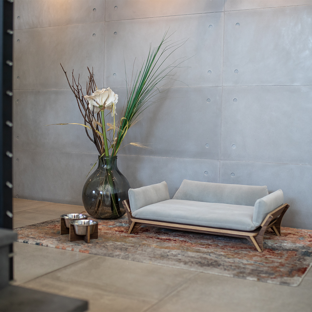 איימי - ספה לכלב