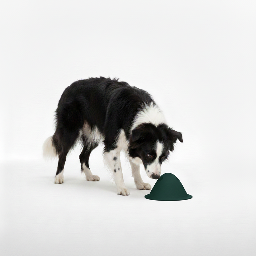 🎁 טום - משחק פעילות אינטראקטיבי (100% off)