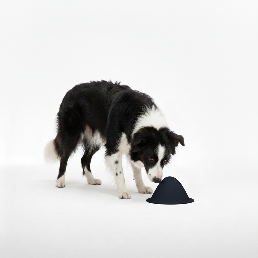 🎁 טום - משחק פעילות אינטראקטיבי (100% off)