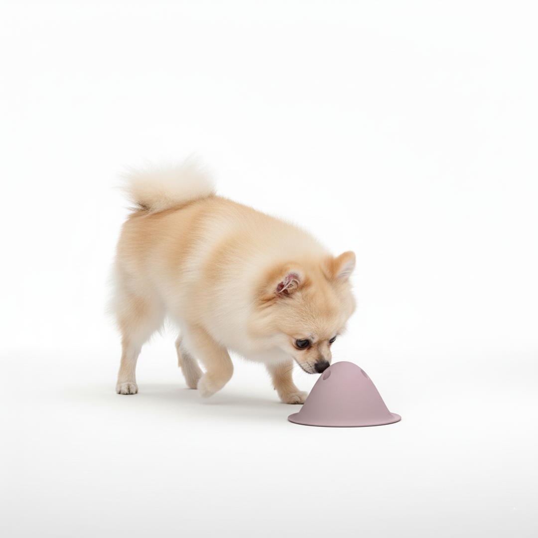 🎁 טום - משחק פעילות אינטראקטיבי (100% off)