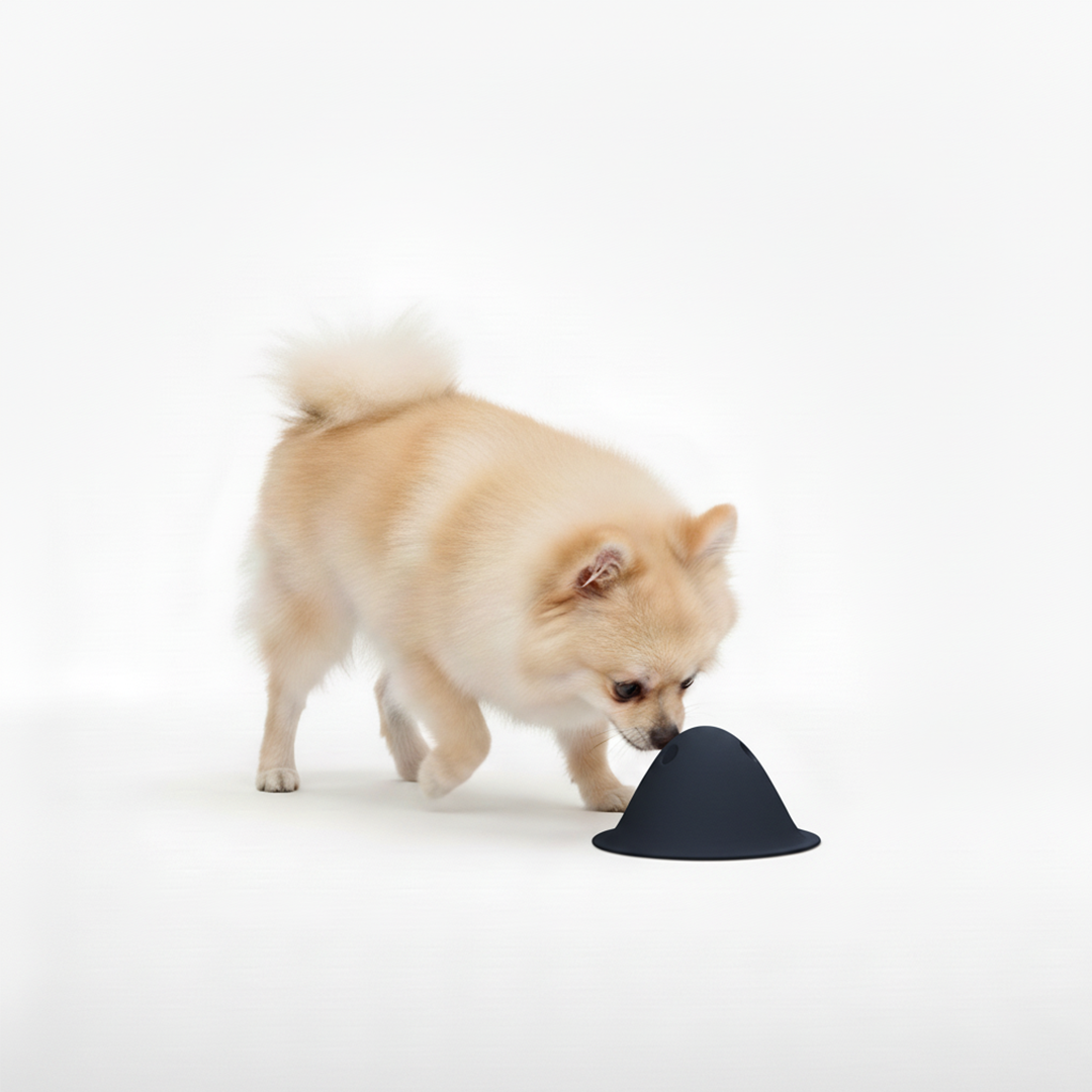 🎁 טום - משחק פעילות אינטראקטיבי (100% off)