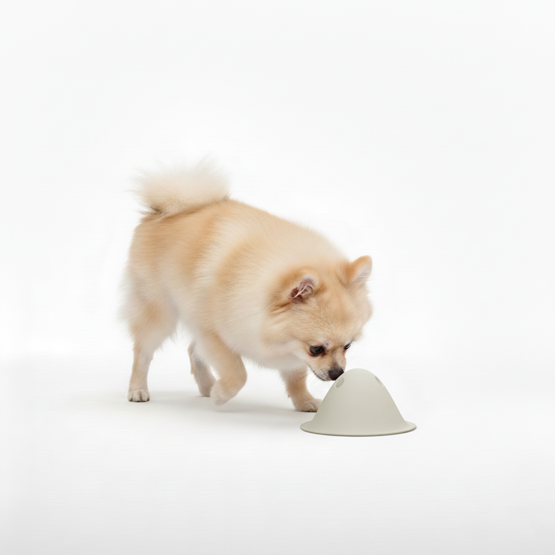 🎁 טום - משחק פעילות אינטראקטיבי (100% off)