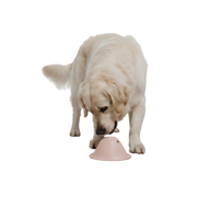 טום - משחק פעילות