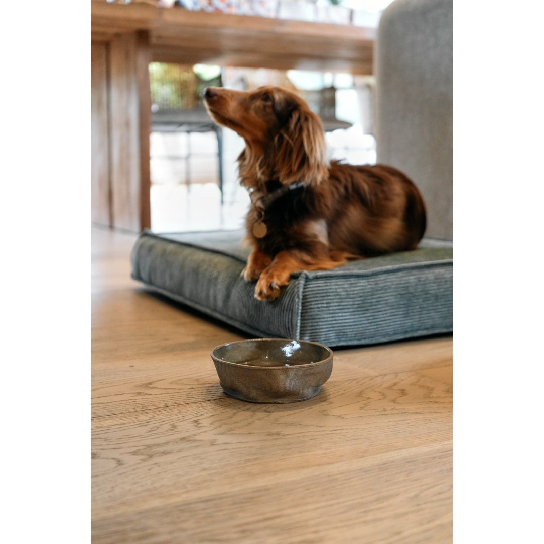 עומר – מזרן רביצה