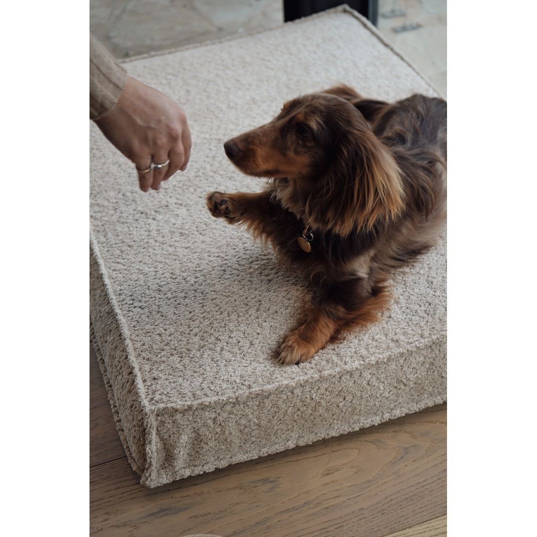 עומר – מזרן רביצה