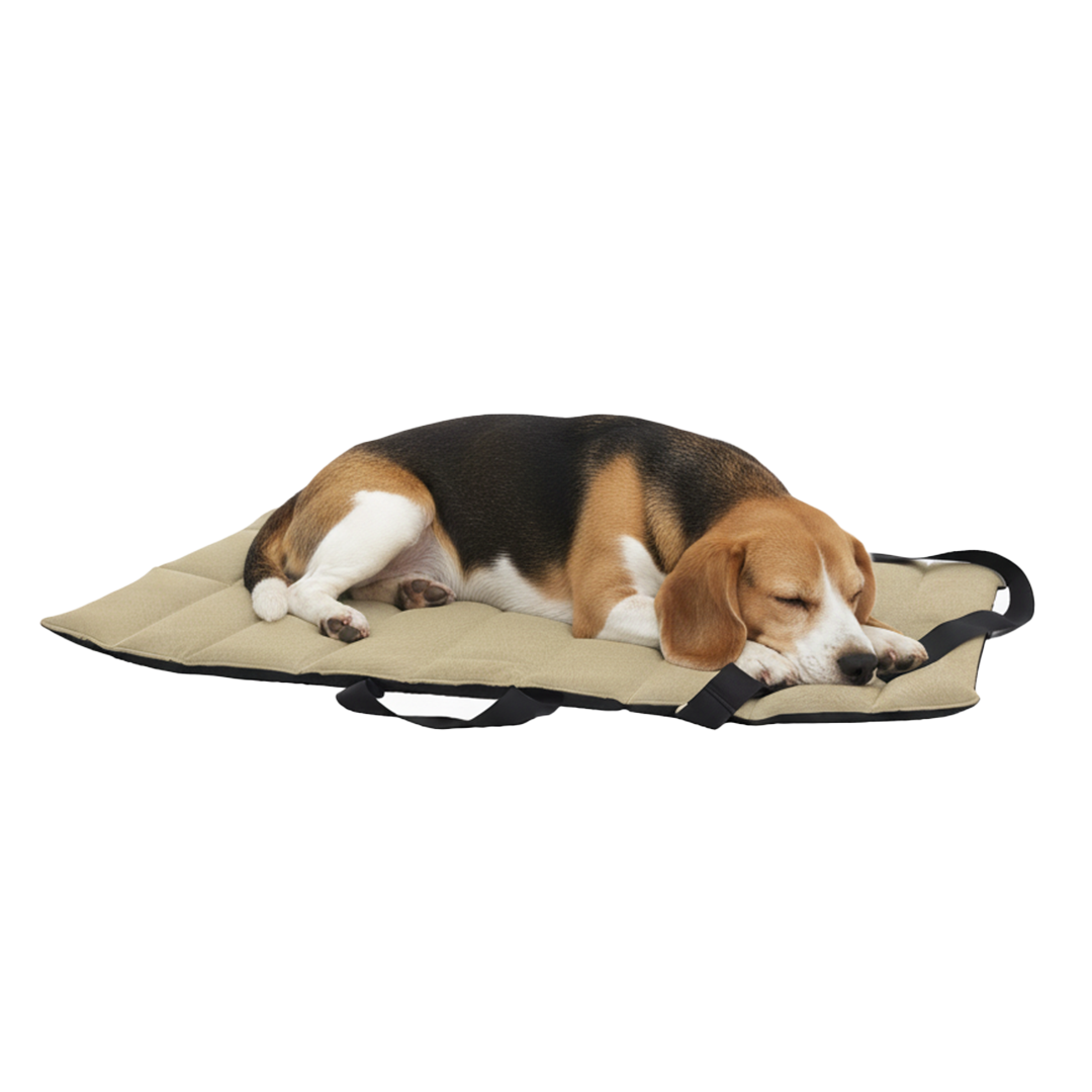 נטע מזרן חוץ