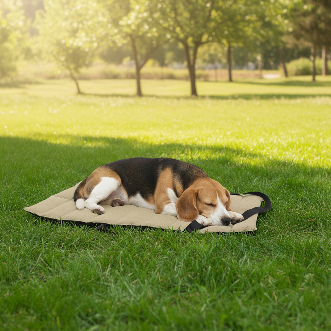 נטע מזרן חוץ