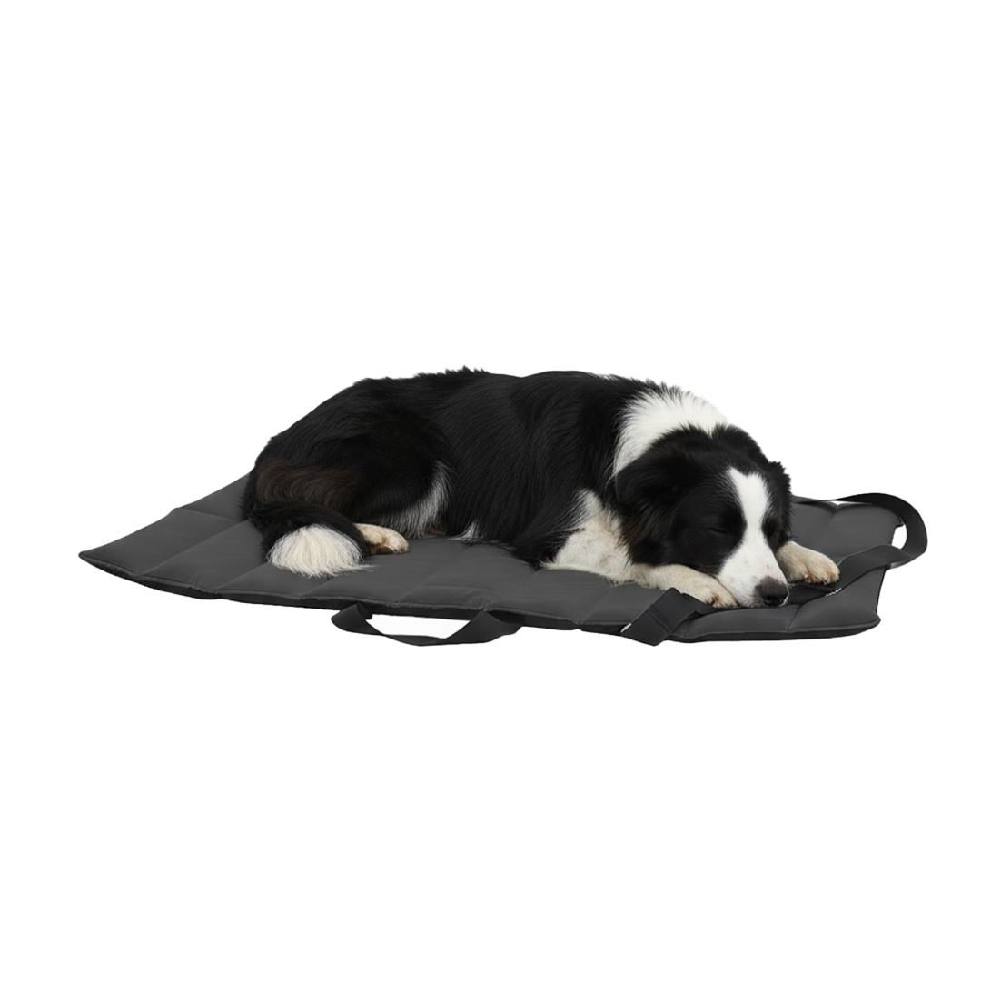 נטע מזרן חוץ