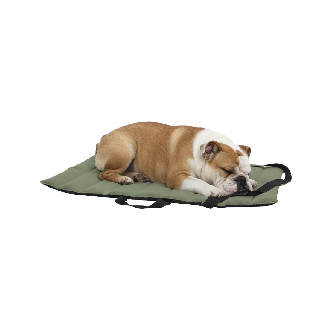 נטע מזרן חוץ