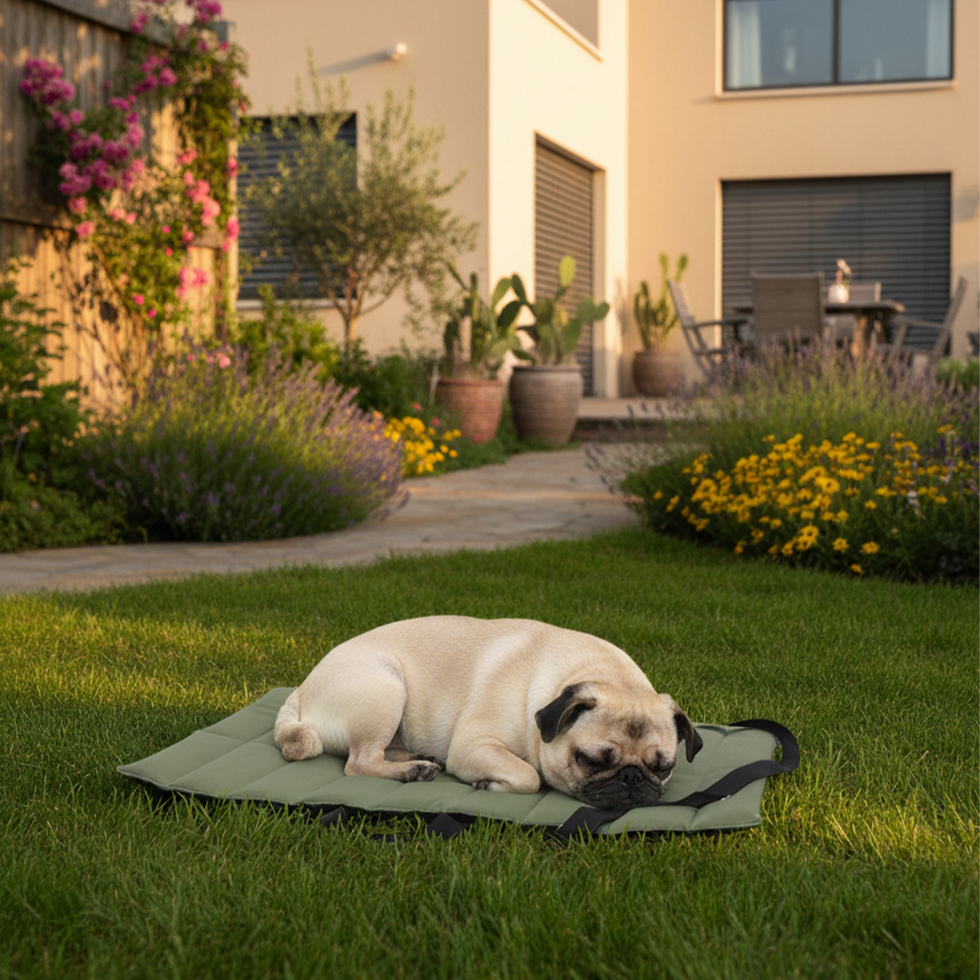 נטע מזרן חוץ