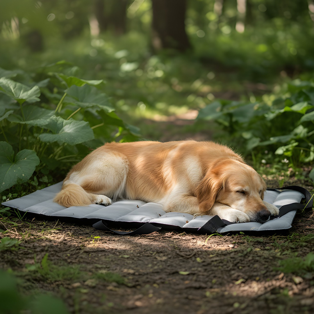 נטע מזרן חוץ