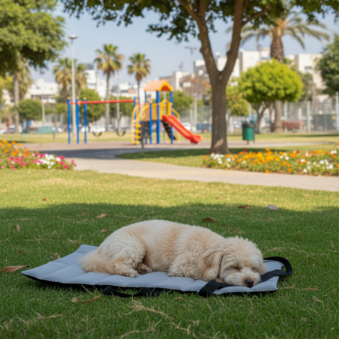 נטע מזרן חוץ